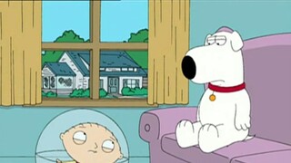 การผจญภัยที่แปลกประหลาดของ Stewie