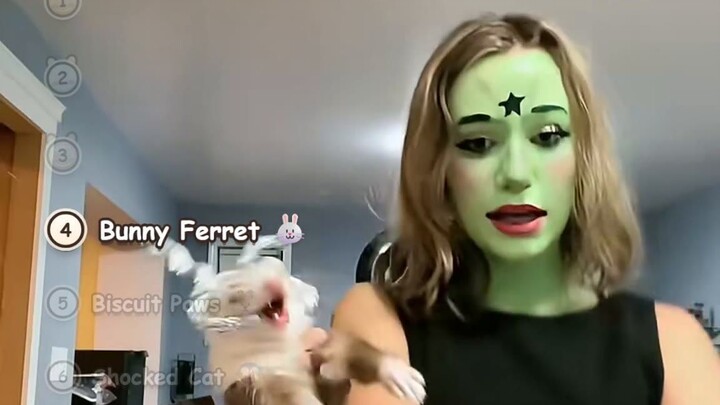 Animals Reacting WILDLY: Shocked Cat, Fennec Biscuits & More