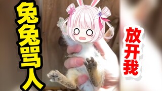 إذا تم اصطياد الأرنب فإنه سوف يلعن حقا! ! !