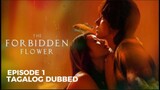 The Forbidden Flower Episode 1 Tagalog Dubbed