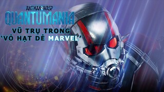 ANT MAN 3: THẾ GIỚI LƯỢNG TỬ: VŨ TRỤ TRONG 'VỎ HẠT DẺ MARVEL'