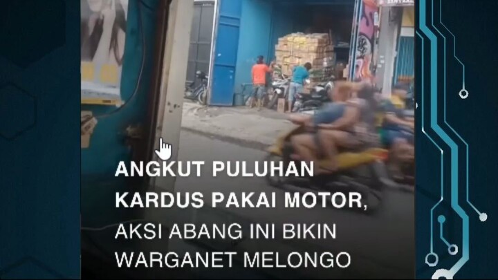 vario rasa grenmex