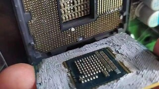 صورة جين الجديدة من توبا