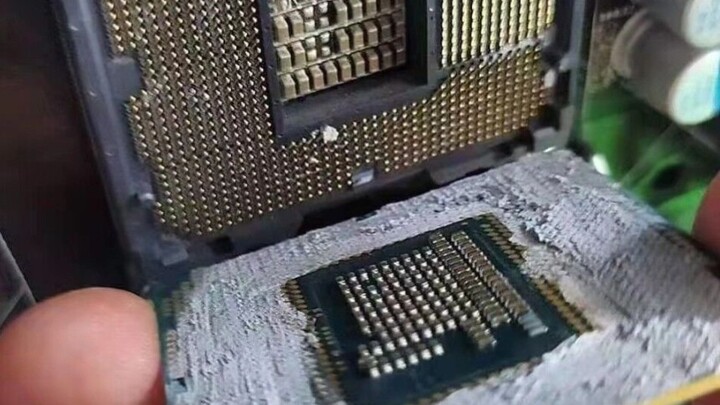 รูปภาพใหม่จากทูปา