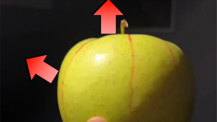 [Bố cục tĩnh vật] Đường cấu trúc của quả táo