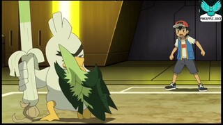 Pineapple Juice - Satoshi vs citron! bài huấn luyện tình bạn 7 #anime #schooltime