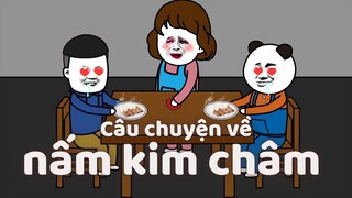 GẤU HÀI HƯỚC: Câu chuyện về nấm kim châm