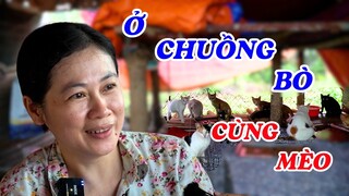 Chị gái đẹp như diễn viên Diễm Hương sống ẩn dật ở chuồng bò với đàn mèo hoang - ĐỘC LẠ BÌNH DƯƠNG