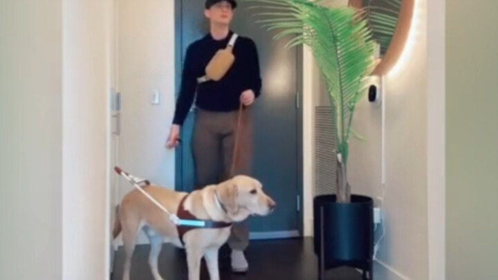 Trời ơi, một gia đình thật yêu thương nhau, lại nữa rồi, có phải trước đây cũng từng đi lạc không ha