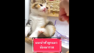 งู้ยยยยยยยยยยย เอ็นดูววววววว🥰