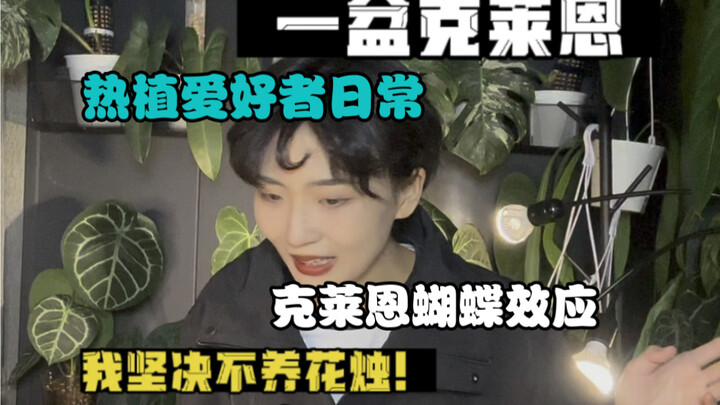 克莱恩蝴蝶效应｜我怎么就入坑热植了？！