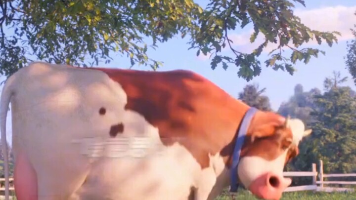 Cow: You started it.