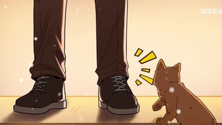 แมวจรจัด: ขอร้องอย่างถ่อมตน ความอ่อนโยนของคุณอยู่ใกล้แค่เอื้อม