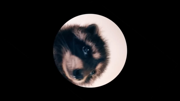 Phiên bản đầy đủ toàn bộ ca khúc của Pedro Gấu Mèo