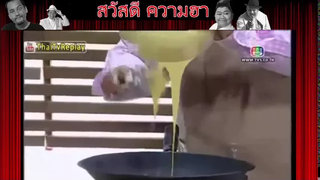 ตลก 6 ฉาก โก๊ะตี๋กับ ทำอาหารยังไงใน 2 นาที