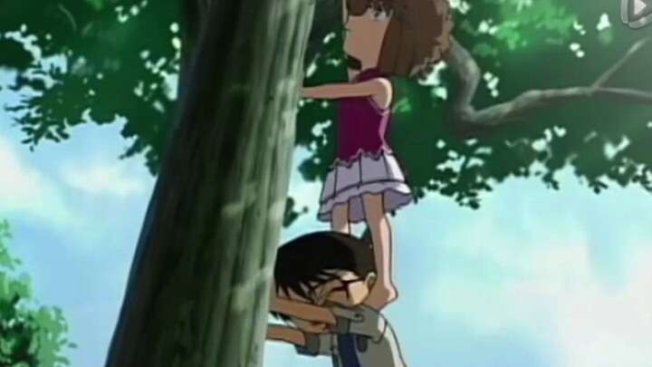 [Ke Ai] A day of daily dislike for Conan