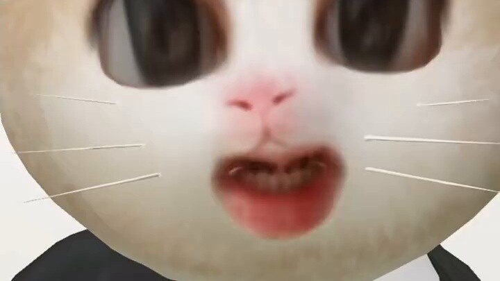 Làm thế nào mà tôi lại trở thành fan của Zhao Lusi và trở thành fan của người khác? . .