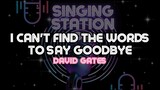 I CAN'T FIND THE WORDS TO SAY GOODBYE - DAVID GATE | Karaoke Version
