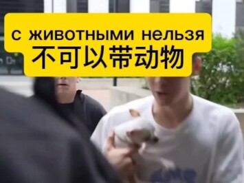 เรียนรู้ภาษารัสเซียแบบเจ้าของภาษาจากวิดีโอเสียงต้นฉบับ