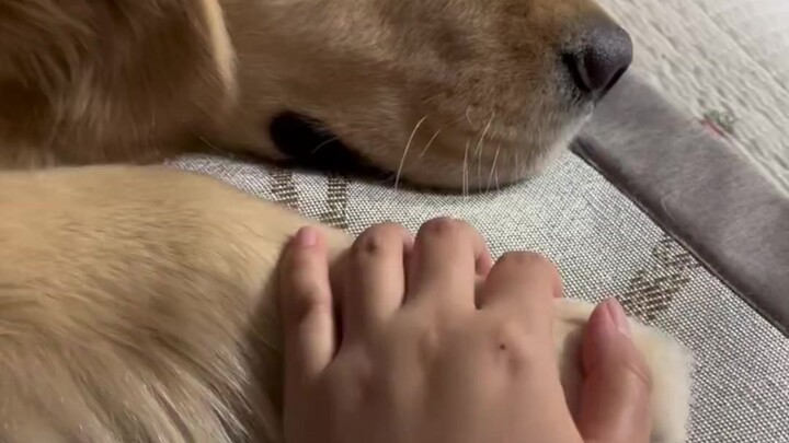 Menghancurkan prinsip manusia di atas cakar