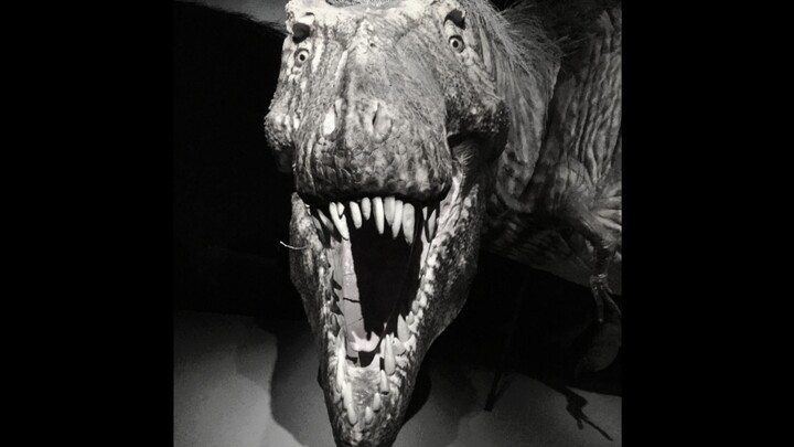 “มีไทแรนโนซอรัสอยู่นอกหน้าต่าง!”