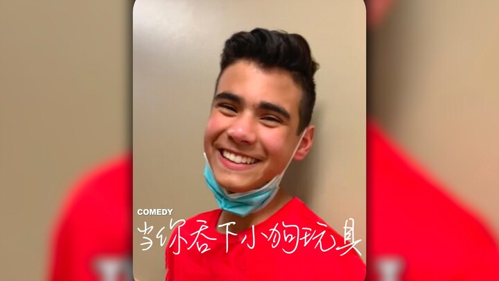 เมื่อคุณเผลอกลืนของเล่นสุนัขลงไป...