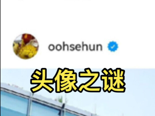 Why is Sehun’s Instagram profile picture two chrysanthemums?