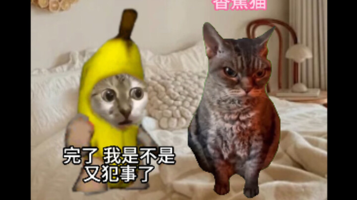 My Girlfriend’s Cute Moments (Not Really)