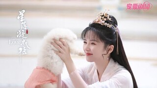 [FMV][Vietsub] Tinh Lạc Ngưng Thành Đường - Quy Lai Hề [Đế Lam Tuyệt x Tử Vu]