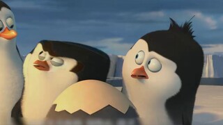 Liver-burning statistics! How many superpowers do the penguins of Madagascar have? ! The TV version 