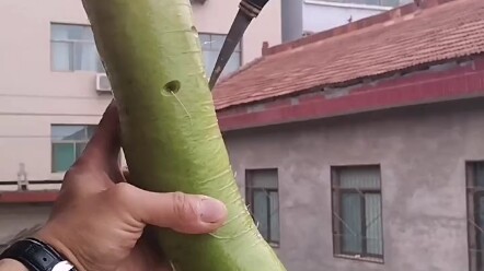 ทำมาสองครั้งก็พังไปสองรอบ ไม่ง่ายเลยจริงๆ หวังว่าทุกคนจะชอบผลงานชิ้นนี้ ขอบคุณทุกการสนับสนุนของทุกคน