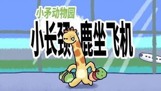 【小矛动物园】小长颈鹿坐飞机，有妙招。