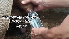 PERJUANGAN HAK ASUH PANDA PART 4