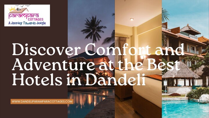 Discover Comfort and Adventure at the Best Hotels in Dandeli