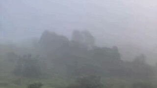 以敬畏之心做事以感恩之心做人新的一天！早安！