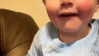 国外幼崽日常生活