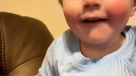 ชีวิตประจำวันของลูกสัตว์ต่างประเทศ