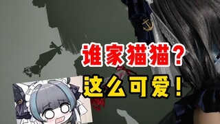 谁家猫猫 这么可爱？！【碧蓝航线】