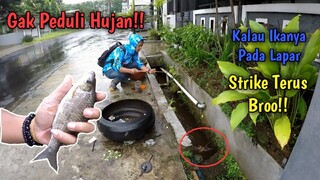 Mancing Di Saat Hujan || STRIKE PERTAMA LANGSUNG DIHAJAR BABON, SELANJUTNYA... STRIKE TERUSS!!