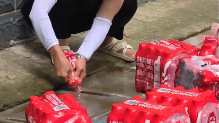 การปล่อยสัตว์แบบนี้มีบาปไหม?