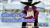 [Đảo Hải Tặc] Đừng rờixa! Dracule Mihawk 02