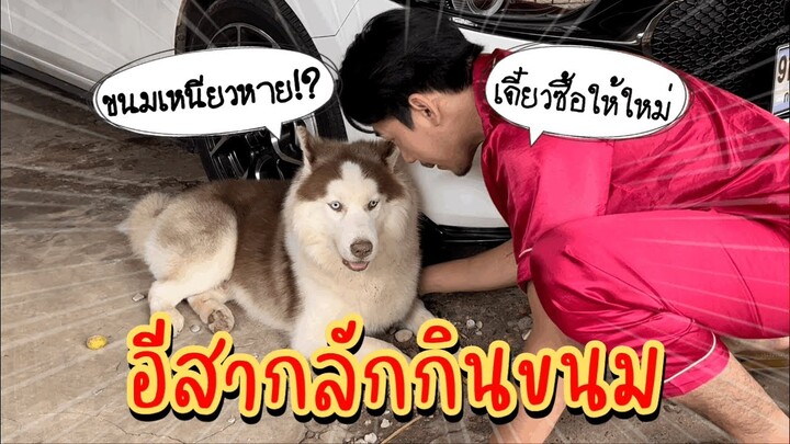 ผมซ่อนขนมไว้ในหลุมแต่พี่สากแอบมาขุดหลุมเอาขนมไปกินครับ