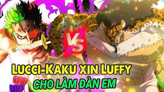 Full OP 1075 | Lucci, Kaku Xin Luffy " CHO LÀM ĐÀN EM"