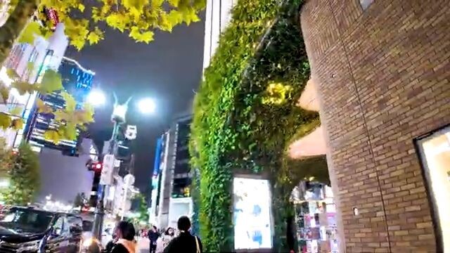 Tokyo Shibuya 🐶 Night Live ♪💖 4K Non-Stop 1 Hour