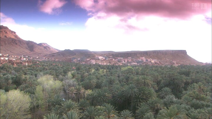 君の花になる Let's 8LOOM TOURTHE FINAL