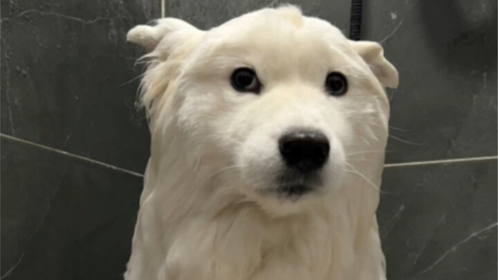 อ้วนขึ้นสิบกิโลจะเห็นชัดขนาดไหน?