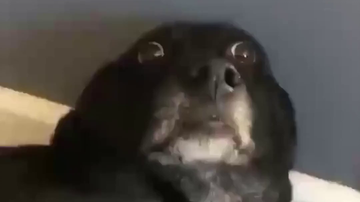 Con đường hành hương: Sự đan xen giữa niềm tin và sự hoài nghi