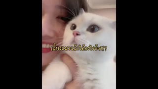 ง่าาา น่าาารักกกก🥰🥺🤗❤