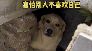 الأيامُ التي تجاهدُ فيها للتخلُّصِ من الظلالِ في قلبِكَ أعادتِ النورَ إلى عينَيَّ.