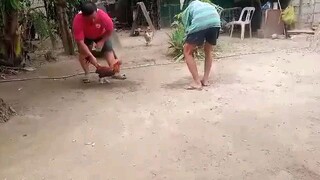 pang 3 hits sparring